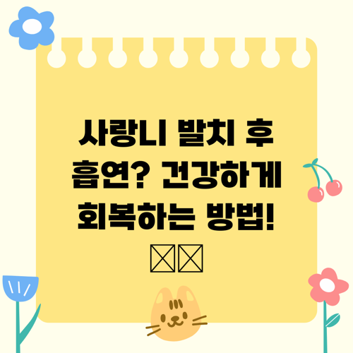 사랑니 발치 후 흡연? 건강하게 회복하는 방법! 🚬💨