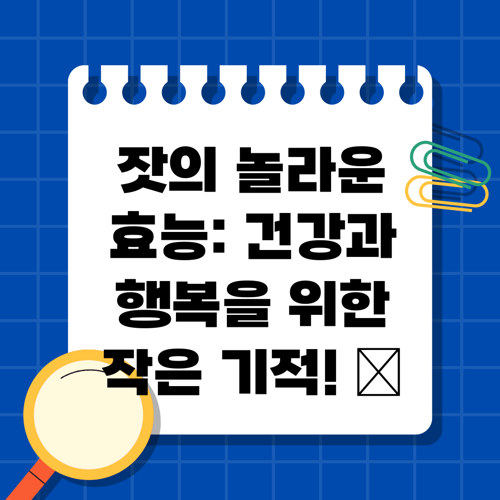 잣의 놀라운 효능: 건강과 행복을 위한 작은 기적! ✨